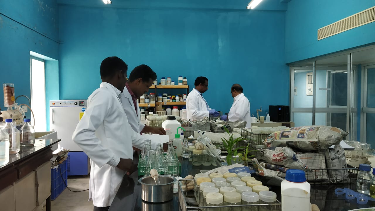 Plant Tissue Culture 